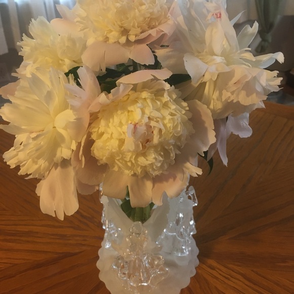 💖Meet your Posher, Eva Like my Closet to Follow! - Picture 6 of 16